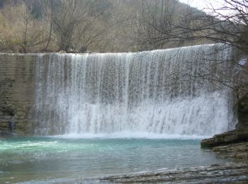 Tour Zu Fuß Bagno di Romagna - IT-217 - Photo