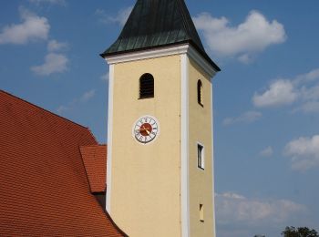 Percorso A piedi Nittendorf - W 13 Etterzhausen - Schönhofen (Rotes Rechteck) - Photo