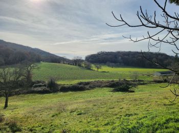 Tour Wandern Crest - Crest à  VAUNAVEY - Photo