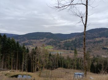 Trail Walking Saulxures-sur-Moselotte - AR Tayeux - col du chant du vent - Graviers - Photo