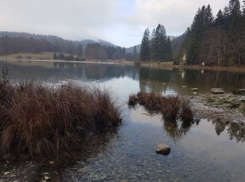 Randonnée Marche Oyonnax - lac genin depuis le kiosque - Photo