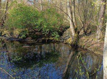 Trail Walking Erstein - ail des ours source du Bronnenwasset - Photo