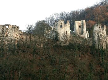 Tour Zu Fuß Samobor - Samobor (Hamor) - Slani dol - Photo