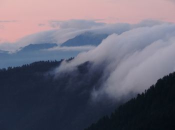 Percorso A piedi Antrona Schieranco - (SI E56) Rifugio Città di Novara all'Alpe Cheggio - Rifugio Alpe Laghetto - Photo