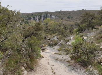 Excursión Senderismo Labeaume - Labeaume - Photo