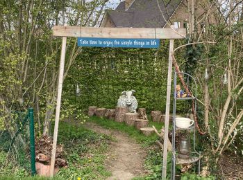 Randonnée V.T.T. Hal - Halle - Braine le Château - Photo