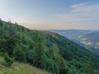 Tocht Te voet Münstertal/Schwarzwald - Untermünstertal - Hohkelch - Photo