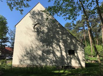 Randonnée A pied Ludwigsfelde - Heideweg - Photo