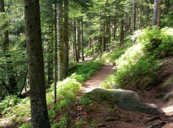 Randonnée V.T.T. Raon-l'Étape - sortie vtt du 12052018 pierre d'appel  - Photo