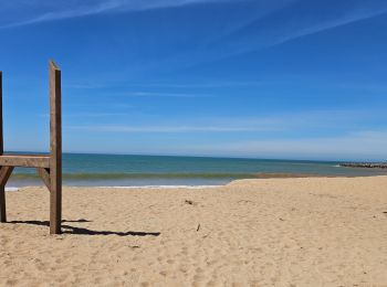 Tocht Fietstoerisme Faro - Faro Olhos de Agua - Photo