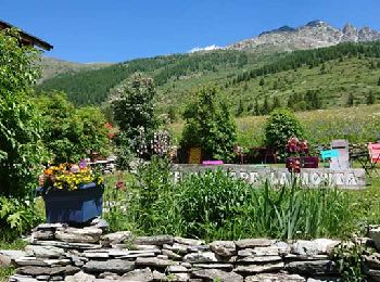 Tour Wandern Ceillac - Queyras - Photo