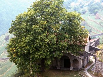 Tour Zu Fuß Molini di Triora - Cammino della pietra - Photo