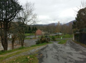 Tour Wandern Lestelle-Bétharram - LESTELLE BETHARRAM entre amis  