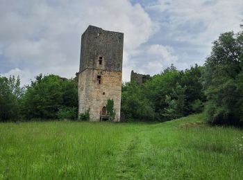 Trail Walking Lissac-sur-Couze - boucle lac de causse - Photo