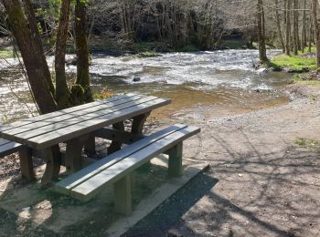Tocht Stappen Gedinne - Balade de Vencimont à Sart-Custine - Photo