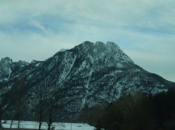 Randonnée A pied Ebensee am Traunsee - Wanderweg 421 - Photo