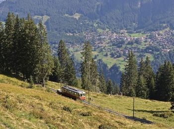 Excursión A pie Lauterbrunnen - CH-Grütschalp - Isenfluh - Photo