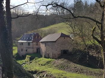 Excursión Senderismo Saint-Céré - Causse de Lauriol - Photo