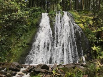 Tocht Stappen Vagney - La cascade du Pissoire - Photo