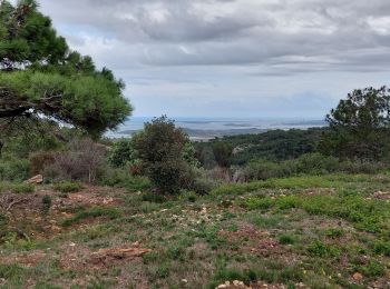 Tour Wandern Narbonne - La combe d'enfer en Narbonnais  - Photo