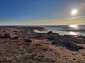 Tour Wandern Martigues - Port de Carro - Sentier du littoral - Photo