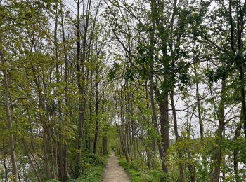 Percorso sport Chatou - Chatou-Bougival-Croissy-Chatou - Photo