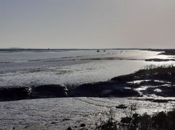 Tour Wandern Mornac-sur-Seudre - mornac - Photo