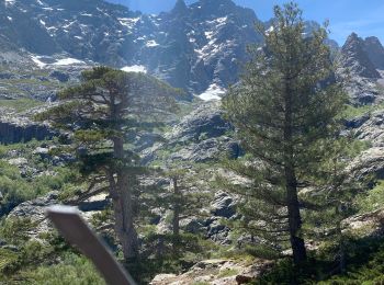 Excursión sport Asco - Au pied du Monté Cinto  - Photo