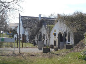 Tocht Te voet Gemeinde Breitenbrunn - Bildstockweg (Breitenbrunn) - Photo