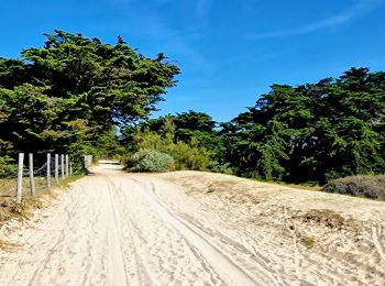 Excursión Senderismo Noirmoutier-en-l'Île - Jeun et rando J4 Balade à travers les marais depuis le gite - Photo