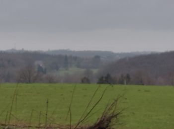 Randonnée Marche Gembloux - Bossiere 310123 - Photo