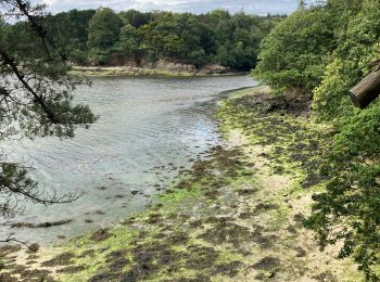 Trail Walking Concarneau - Concarneau  - Photo