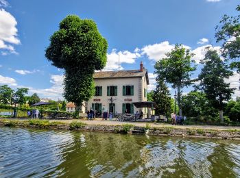 Excursión Senderismo Briare - Balade Pont Canal de Briare - Photo