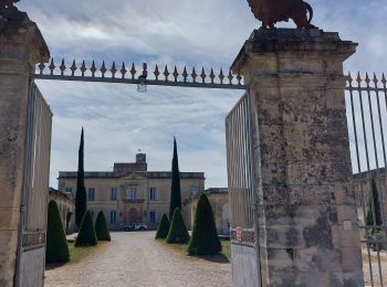 Randonnée Marche Montfrin - Montfrin Theziers - Photo