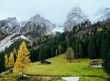 Randonnée A pied Gosau - Rundwanderweg Löckersee Gosau - Photo