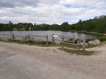 Randonnée Marche Usson-en-Forez - Plan d eau,Sallette, Chassagnole, Truchard,retou - Photo