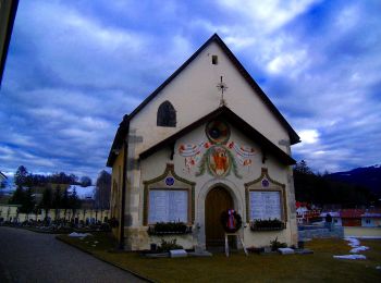 Tour Zu Fuß Terenten - IT-18 - Photo