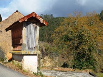 Percorso A piedi Ribeira de Fráguas - Trilho dos Três Rios - Photo