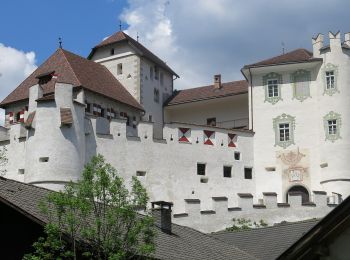 Trail On foot Kiens - Chienes - Wanderroute 11 - Photo