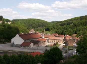 Randonnée A pied Saint-Louis-lès-Bitche - Losange vert - Photo