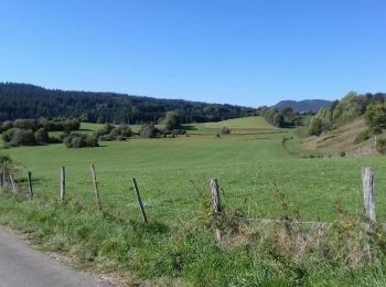 Randonnée Marche Remoray-Boujeons - Remoray-Boujeons - Le Belvédère des deux Lacs - Photo