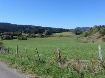 Tocht Stappen Remoray-Boujeons - Remoray-Boujeons - Le Belvédère des deux Lacs - Photo