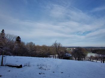 Tour Wandern Couvin - Promenade de la Butte - Couvin - Photo