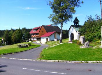 Randonnée A pied Mehlmeisel - Mehlmeisel Rundwanderweg 