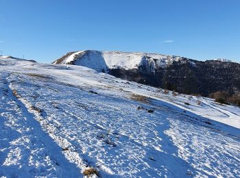 Tocht Sneeuwschoenen La Motte-d'Aveillans - Col du Sénépy - Photo