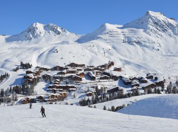 Tour Zu Fuß Aime-la-Plagne - Route Balcon - Photo