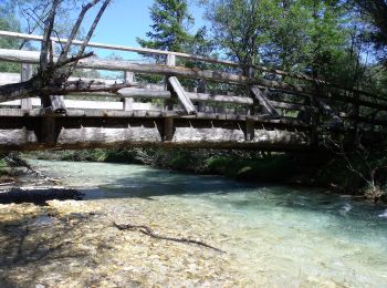 Tour Zu Fuß Toblach - IT-14 - Photo