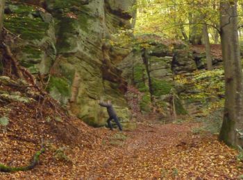 Excursión A pie Berdorf - Wikiloc Berdorf Mullerthal Trail - Photo