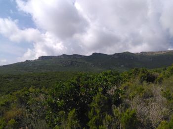 Randonnée Marche Sisco - Vallée de Sisco - Photo