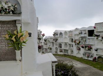 Trail On foot Casares - ES-SL 8 - Photo